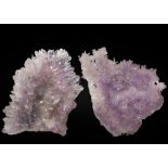 Two Amethyst Rose Specimens