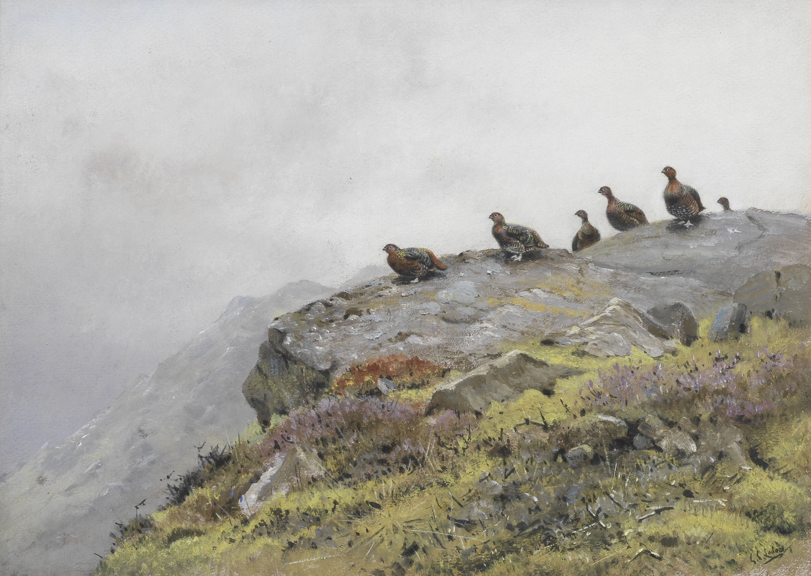 George Edward Lodge (British, 1860-1954) Grouse on a rocky outcrop