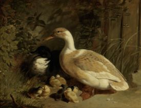 John Frederick Herring, Snr; 'Ducks & Ducklings, oil on panel (circa 1825)