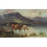 Scottish School (late 19th/early 20th Century) Highland Cattle in a Loch
