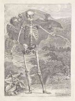 ALBINUS (BERNARD SIEGFRIED) Tables of the Skeleton and Muscles of the Human Body... Translated f...