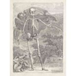 ALBINUS (BERNARD SIEGFRIED) Tables of the Skeleton and Muscles of the Human Body... Translated f...