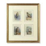 Archibald Thorburn (British, 1860-1935) Kite; White-Tailed Eagle; Buzzard; Gyr Falcon each 14 x ...