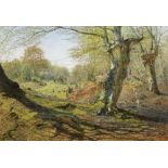 Andrew MacCallum (British, 1821-1902) Spring - The outskirts of Burnham Wood
