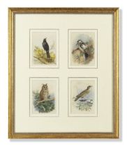 Archibald Thorburn (British, 1860-1935) Blackbird; Great Spotted Woodpecker; Long-Eared Owl; Mis...