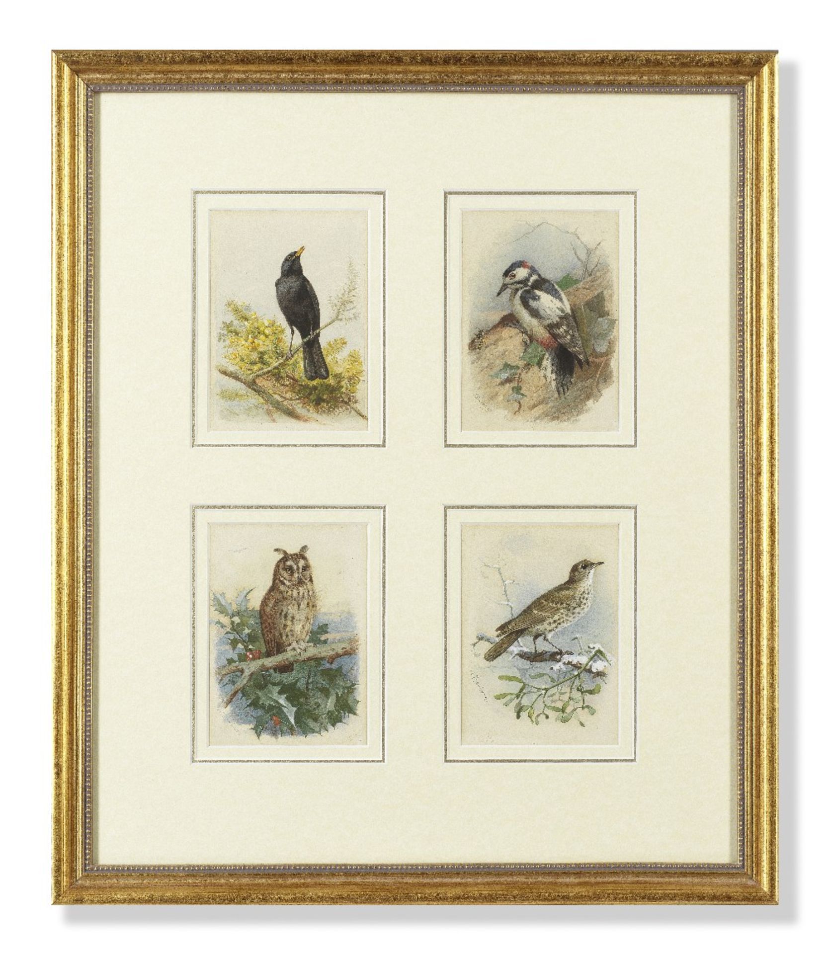 Archibald Thorburn (British, 1860-1935) Blackbird; Great Spotted Woodpecker; Long-Eared Owl; Mis...