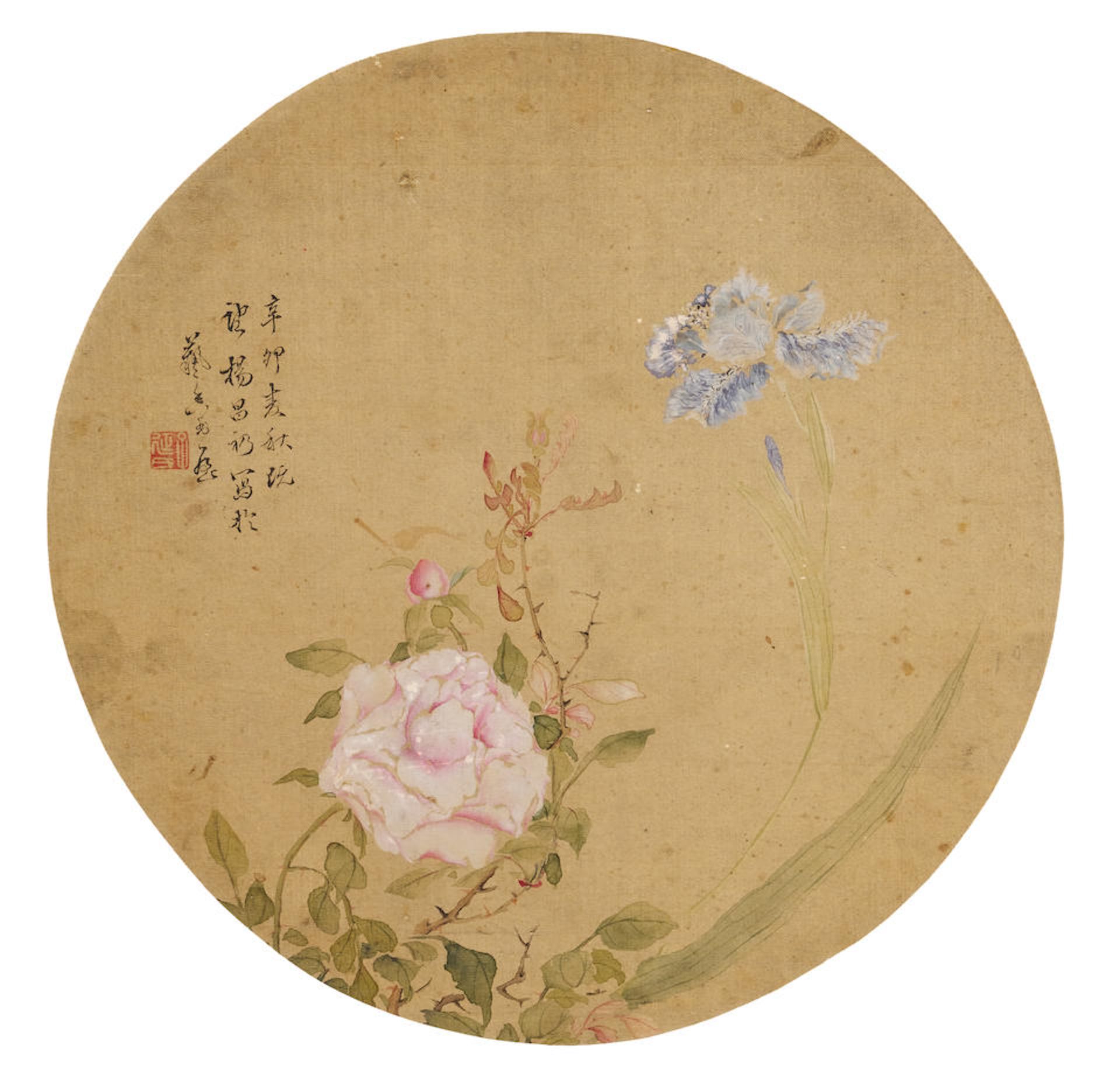 Yang Changreng (19th century) Butterfly and Flower