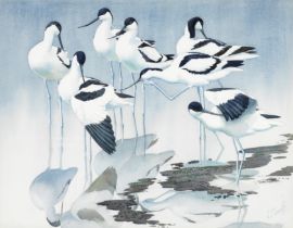 Charles Frederick Tunnicliffe O.B.E., R.A. (British, 1901-1979) Seven Avocets