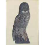 TYSON, CARROLL SARGENT, JR. 1878–1956. Great Grey Owl (Scoliaptex Nebulosa). Lithograph o...