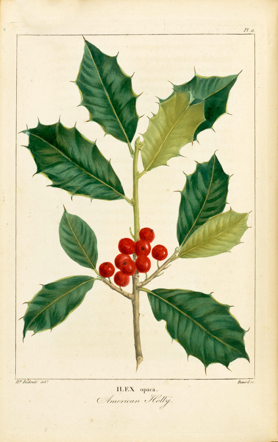 MICHAUX, FRANCOIS-ANDRE. 1770-1855. Histoire des arbres forestiers de l'Amérique septentri...