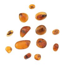 A GROUP OF LOOSE AMBER CABOCHONS