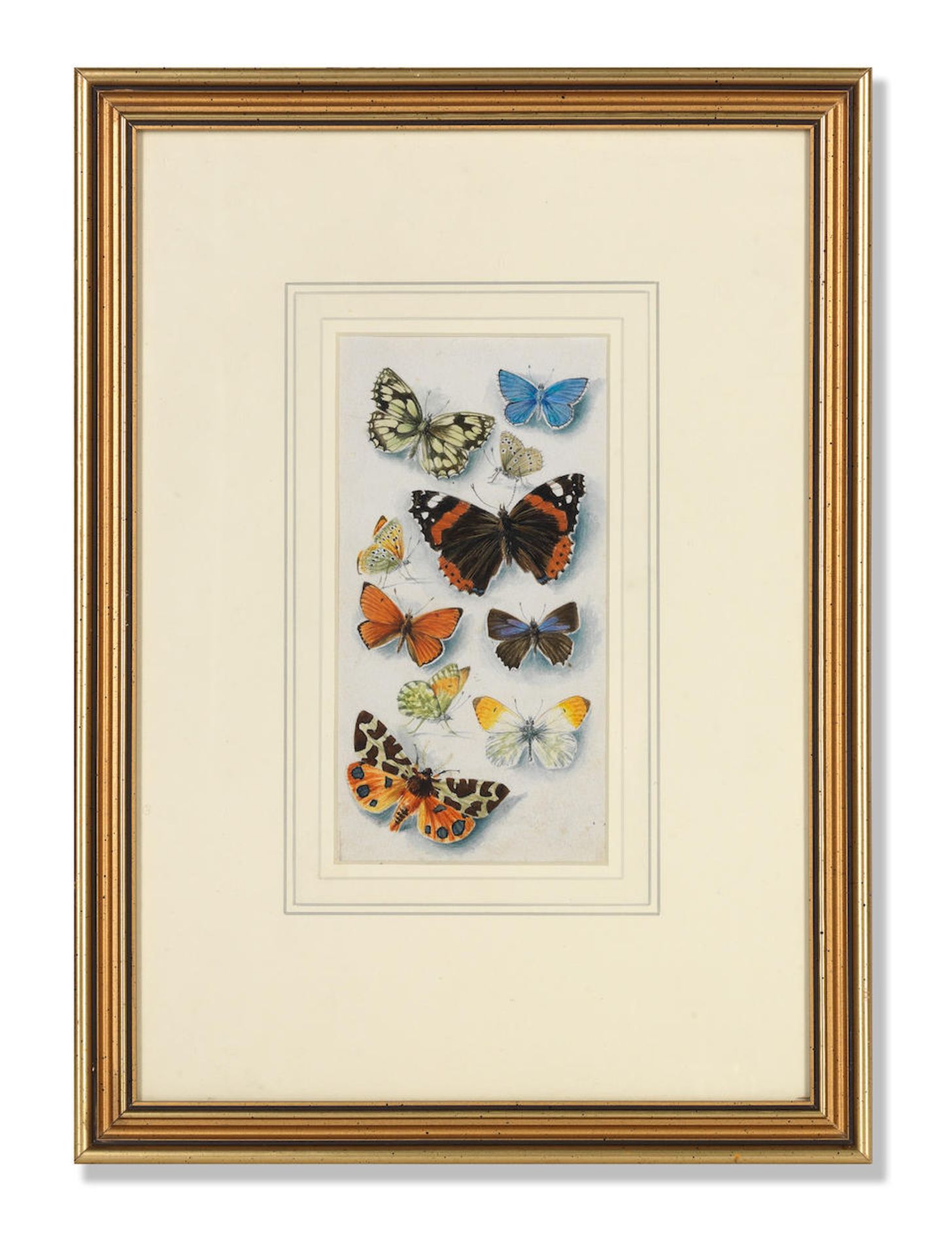 Mildred Eldridge (British, 1909-1991) Studies of butterflies - Bild 2 aus 3