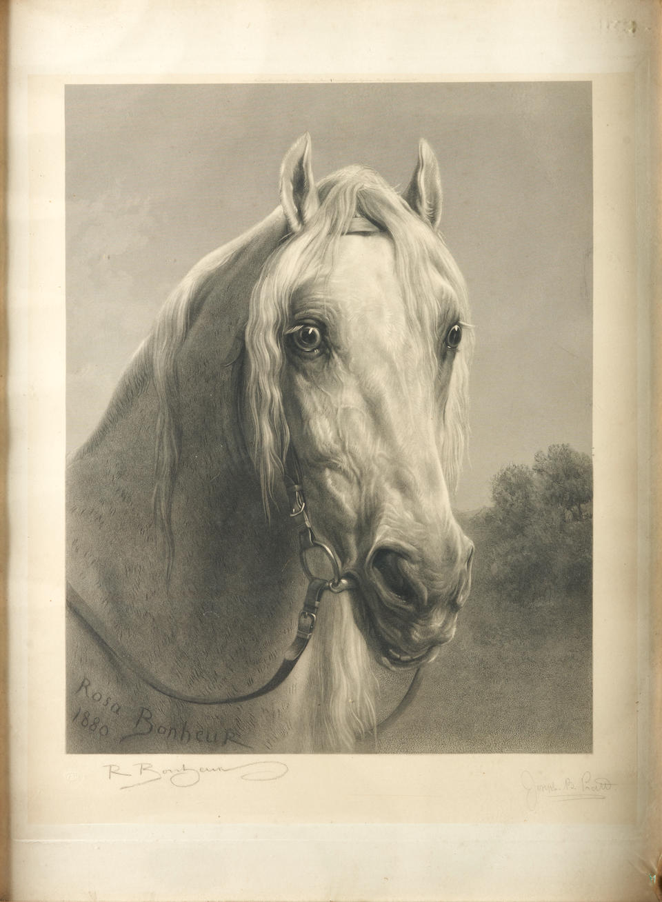 Joseph Bishop Pratt (British, 1854-1910), after Rosa Bonheur (French, 1822-99) Noble Charger, 18... - Image 5 of 5