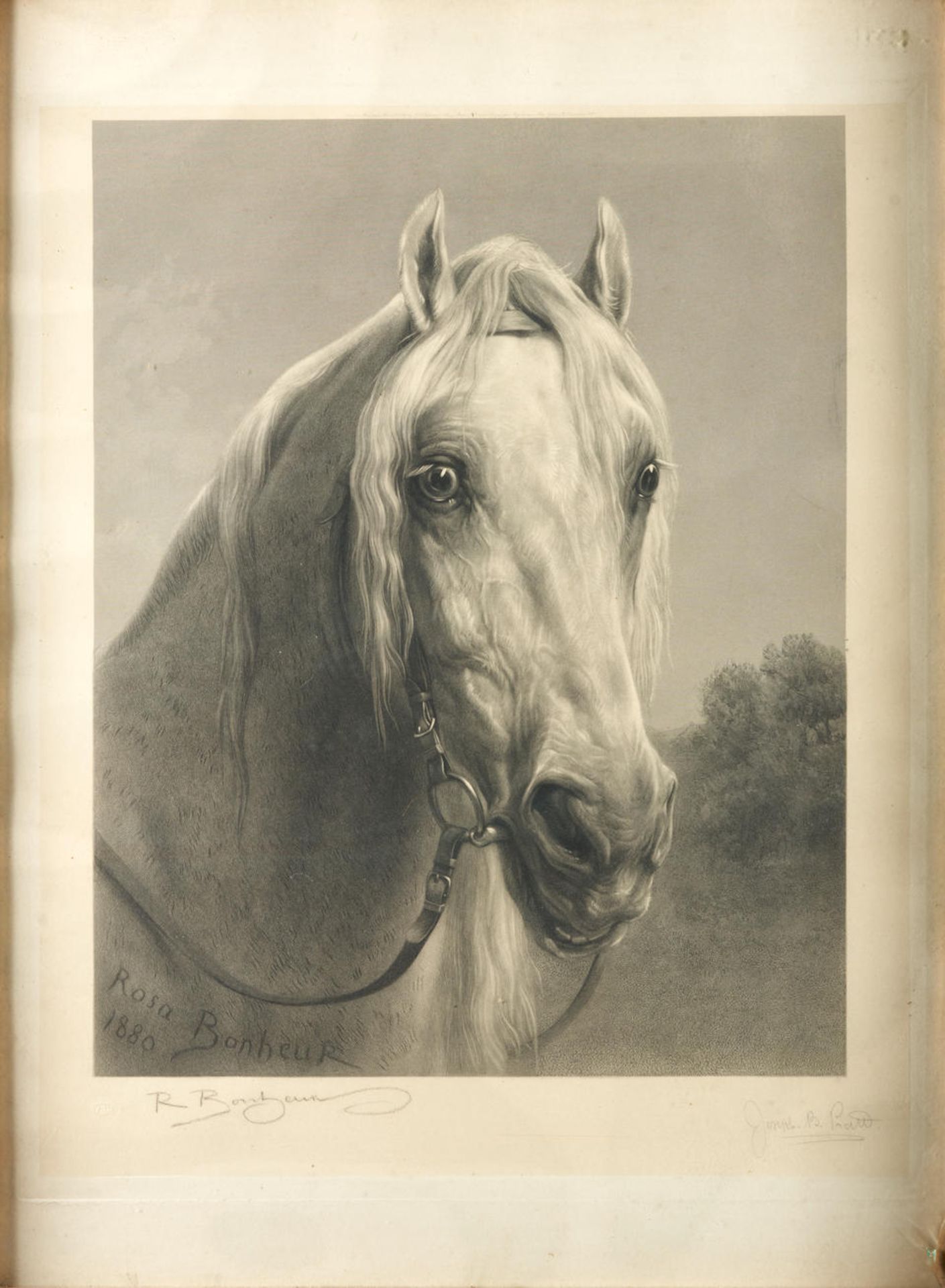 Joseph Bishop Pratt (British, 1854-1910), after Rosa Bonheur (French, 1822-99) Noble Charger, 18... - Bild 5 aus 5