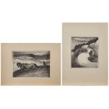 A pair of Regionalist-style lithographs Bernard Joseph Steffen (American, 1907-1980)S Curvesigne...