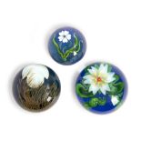 THREE LUNDBERG STUDIOS BOTANICAL PAPERWEIGHTS