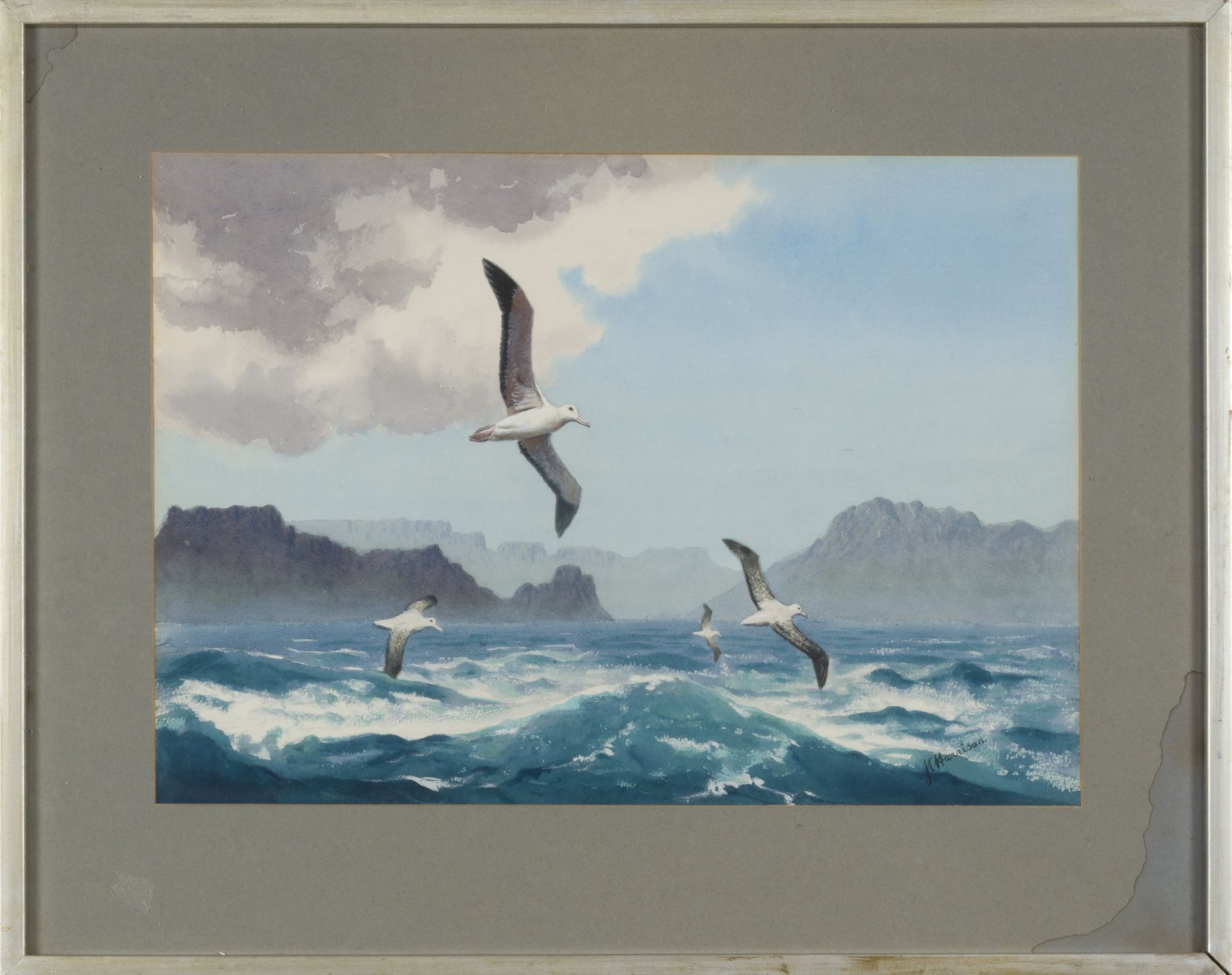 JOHN CYRIL HARRISON (1898-1985) Oiseaux en plein vol
