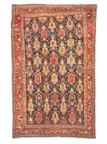 Bidjar Carpet Iran 4 ft. 8 in. x 7 ft.