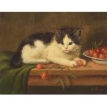 Amanda Lampe (1872-1945) A black and white kitten with a bowl of cherries 11 x 14in (28 x 35.6cm)