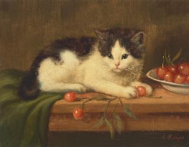 Amanda Lampe (1872-1945) A black and white kitten with a bowl of cherries 11 x 14in (28 x 35.6cm)