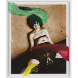 NOBUYOSHI ARAKI (born 1940) De la s&#233;rie PaINTing