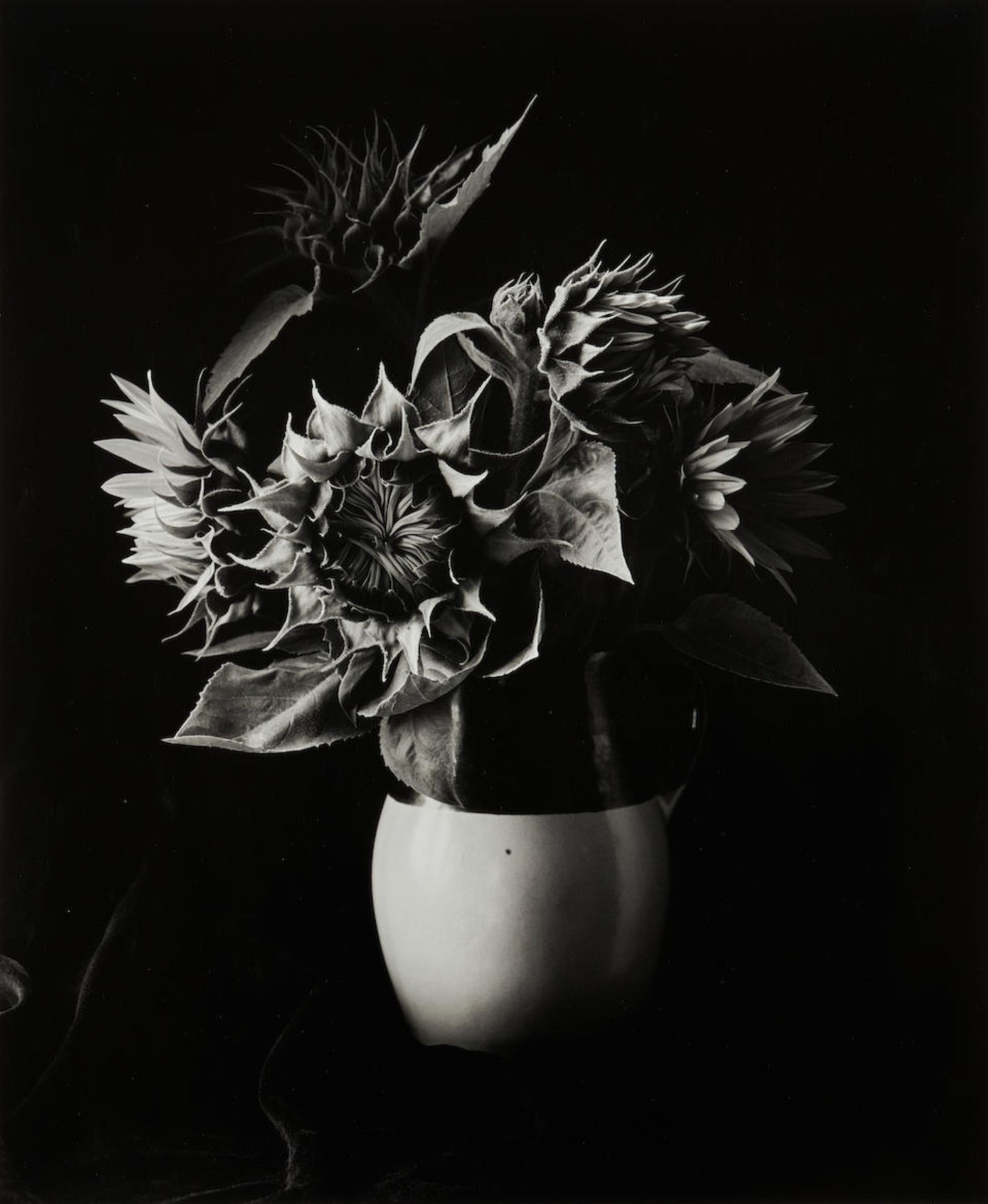 Paul Caponigro (born 1932); Sunflower Vase;