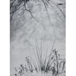 Minor White (1908-1976); Untitled (Snow and Grass);