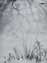Minor White (1908-1976); Untitled (Snow and Grass);