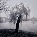 Michael Kenna (born 1953); Moving Tree, Prague, Czechoslovakia;