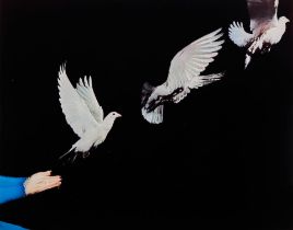 Harold Edgerton (1903-1990); Pigeon Released;