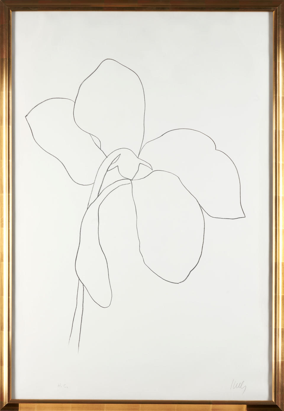 Ellsworth Kelly (American, 1923-2015); Cyclamen III from Suite of Plant Lithographs; - Image 2 of 4