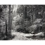 Ansel Adams (1902-1984); Tenaya Creek, Dogwood, Rain, Yosemite National Park, California;