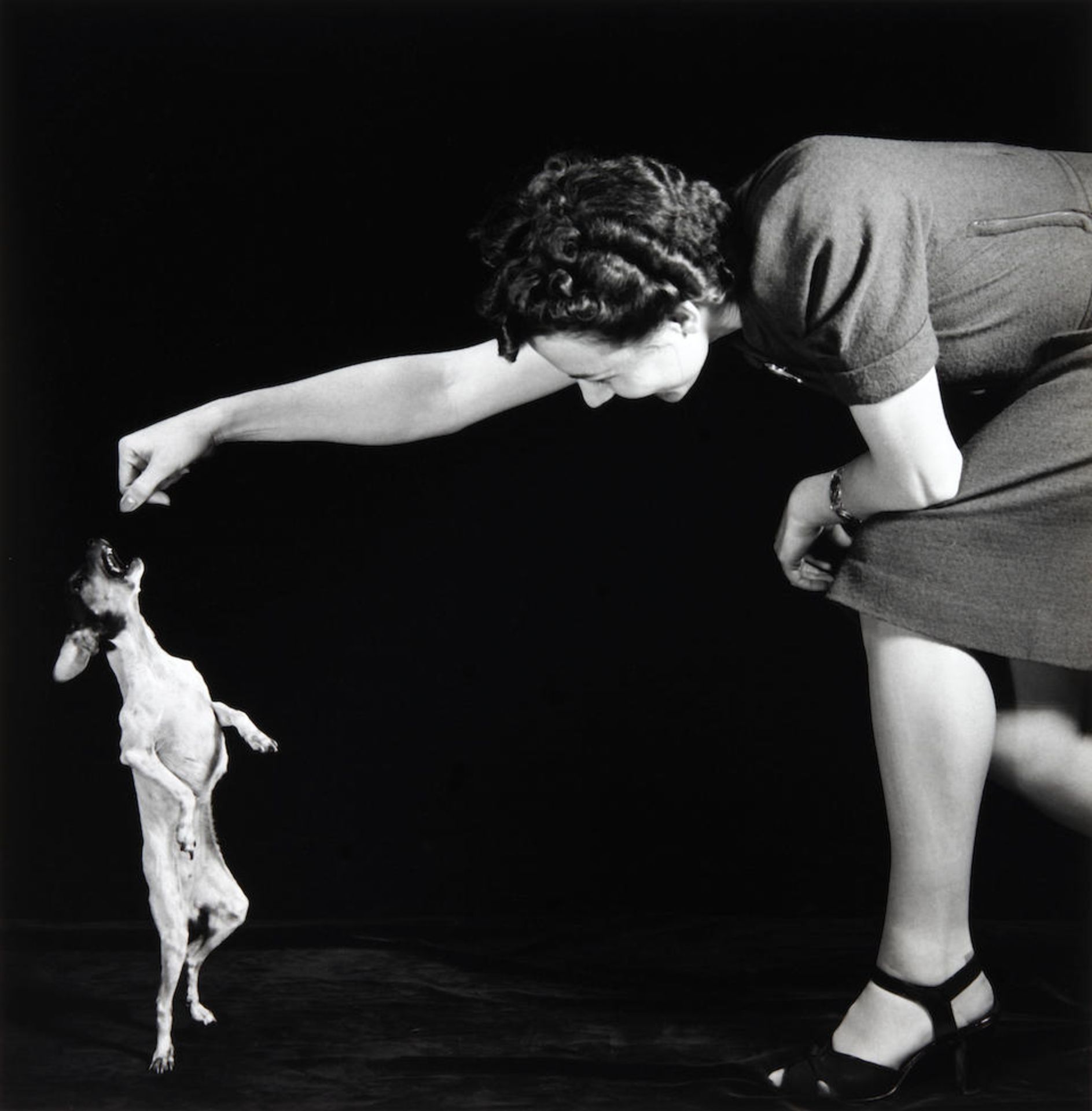 Harold Edgerton (1903-1990); Begging Dog with Woman;