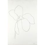Ellsworth Kelly (American, 1923-2015); Cyclamen III from Suite of Plant Lithographs;