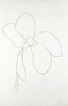 Ellsworth Kelly (American, 1923-2015); Cyclamen III from Suite of Plant Lithographs;