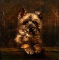 School of George Armfield (British, 1810-1893) A Portrait of a Terrier (framed 50.0 x 50.0 x 3.5...