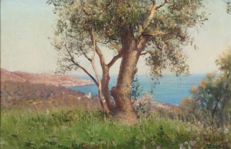 FAUSTO ZONARO (Italian, 1854-1929) Olivi sulle alture di San Remo (framed 47.0 x 67.5 x 3.8 cm (...
