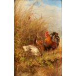JULIUS SCHEURER (German, 1859-1913) A Rooster with Hens (framed 42.0 x 35.7 x 6.5 cm (16 1/2 x 1...