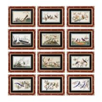 CHINESE EXPORT SCHOOL (19TH CENTURY) Studies of Exotic Birds (12)