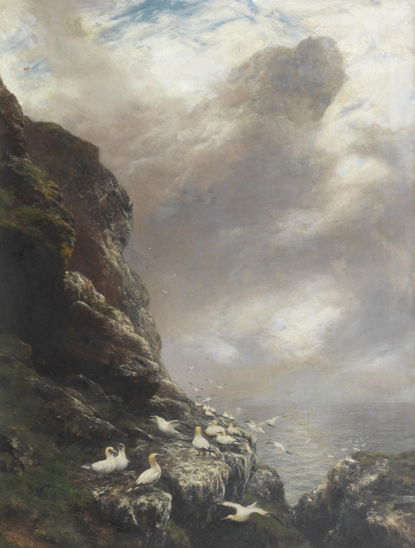 Peter Graham RA HRSA (British, 1836-1921) Gannets on a rocky cliffside