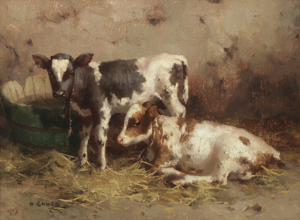 David Gauld RSA (British, 1865-1936) Calves in a barn