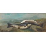 John Bucknell Russell (British, 1819-1893) Salmon