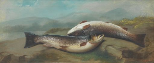 John Bucknell Russell (British, 1819-1893) Salmon