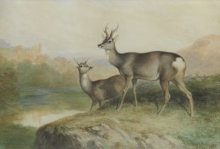 James William Giles (British, 1801-1870) My Heart's in the Highlands - A roe deer buck and hind