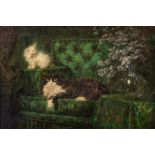 Carl Kahler (Austrian/American, 1855-1906) A Tuxedo cat and a white kitten on a green sofa 33 x ...