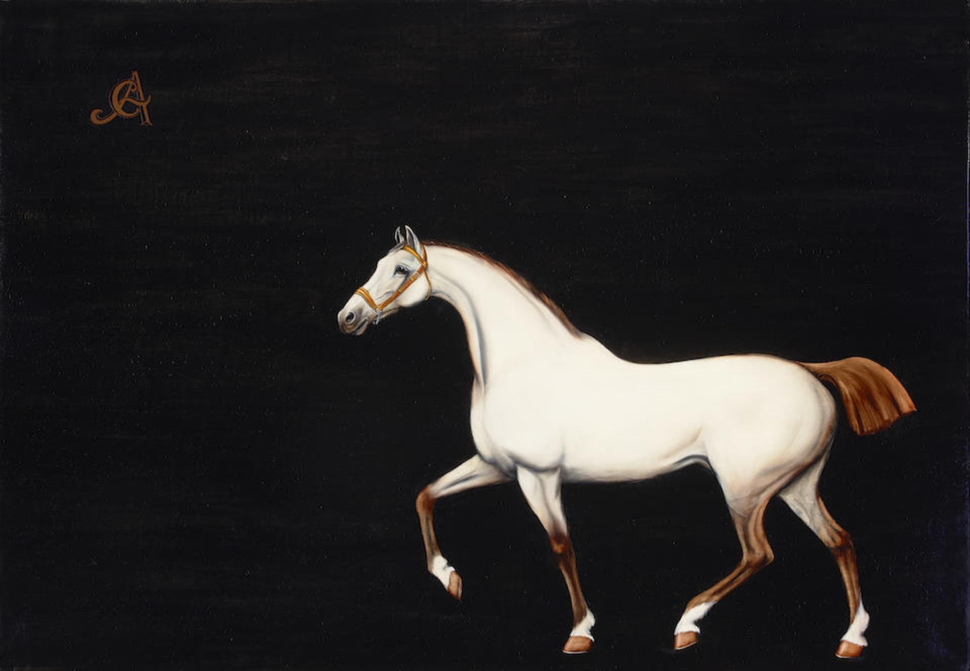 Carlos Anesi (Argentinian, born 1945) White horse 35 1/2 x 51in (90 x 129.5cm)