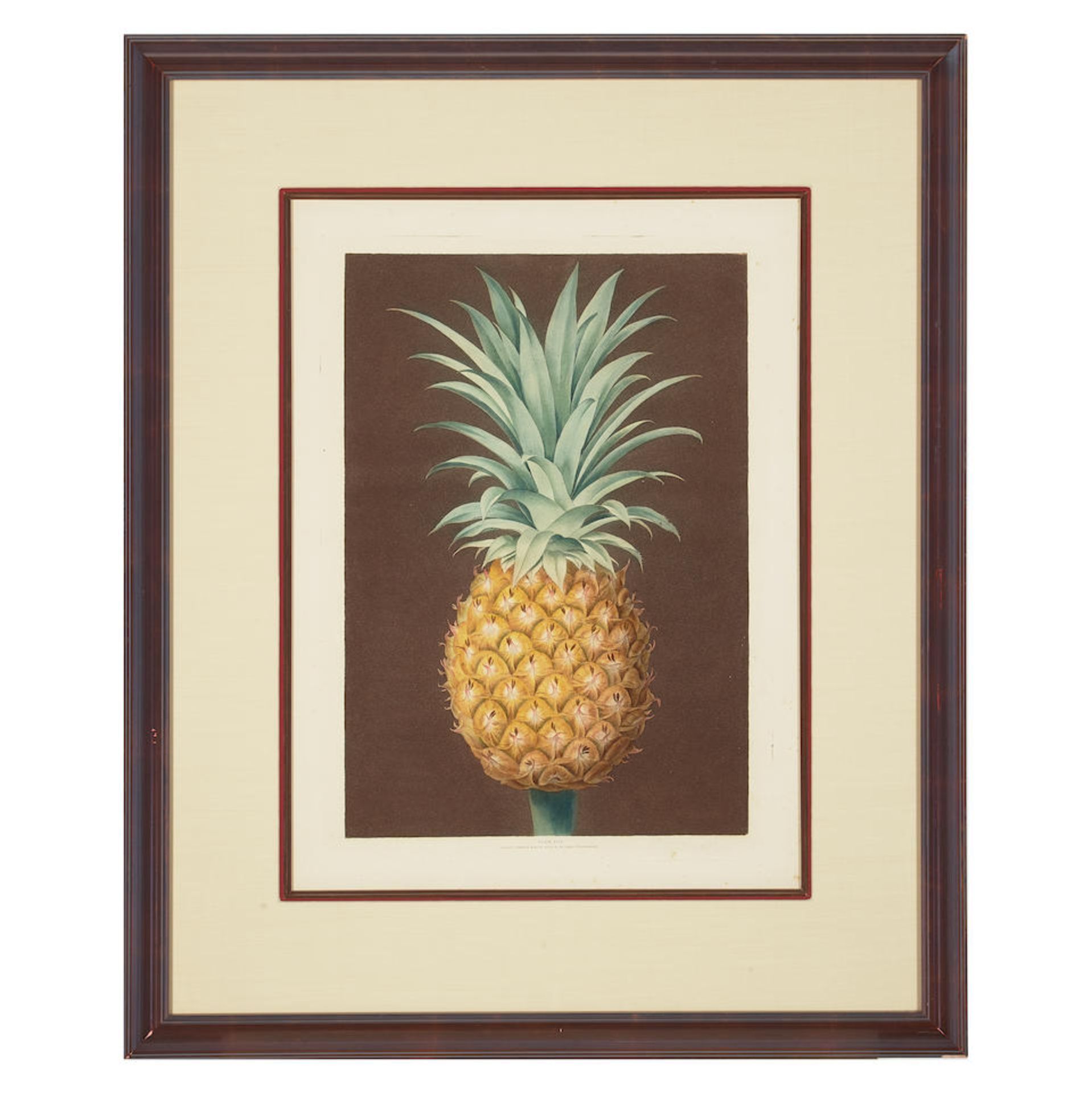 George Brookshaw (1751-1823); Smooth Leaved Green Antigua Pineapple, pl. XLIV, from Pomona Brita... - Bild 2 aus 2