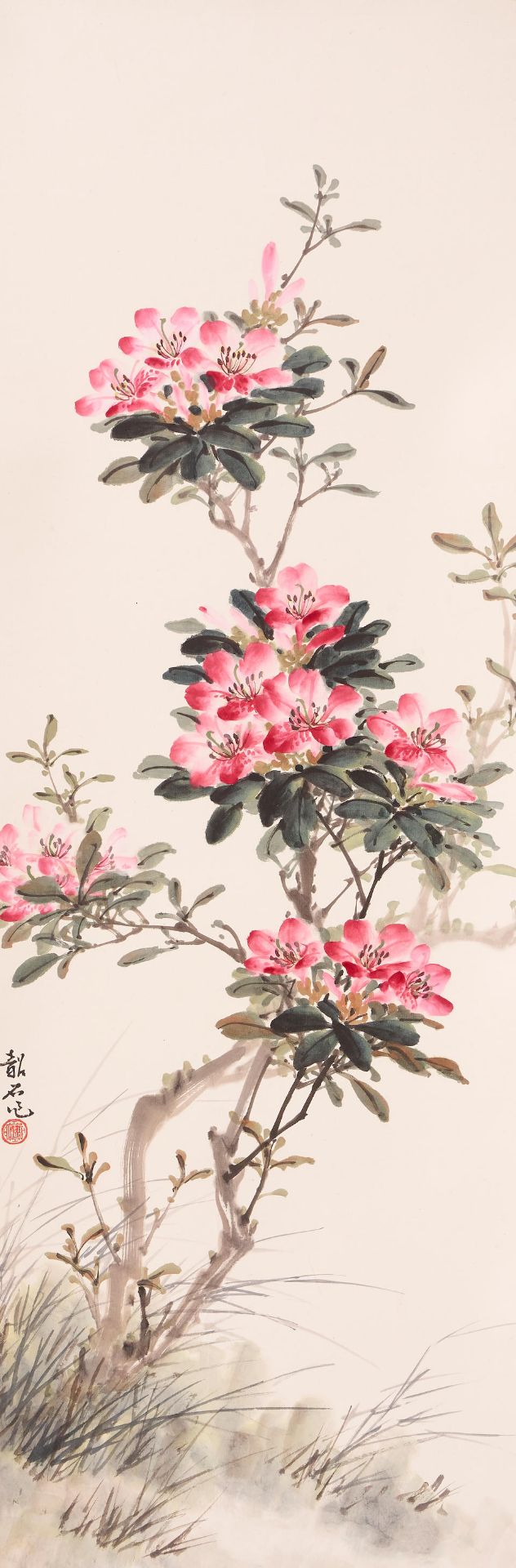 Zhang Shaoshi (1913-1991) Rhododendron