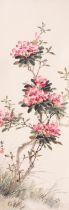 Zhang Shaoshi (1913-1991) Rhododendron
