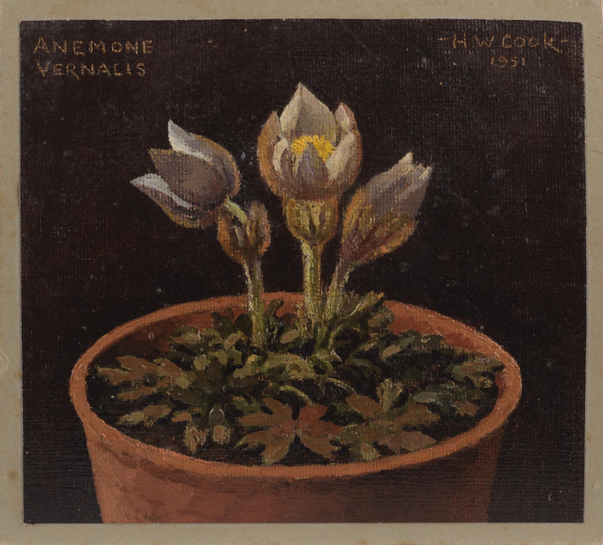 H.W. Cook (British, 20th Century) 'Anemone'; 'Cyclamen' unframed